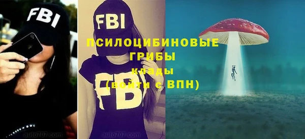 ПСИЛОЦИБИНОВЫЕ ГРИБЫ Армянск