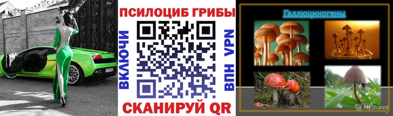маркетплейс формула  наркотики  Сим  Псилоцибиновые грибы мицелий 